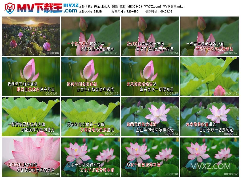 梅朵-求佛人_国语_流行_MD303403